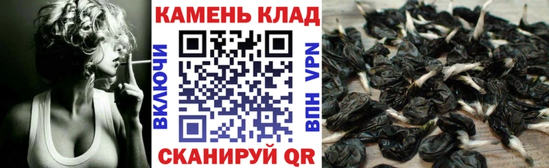 Гашиш ice o lator KRAKEN ТОР Сызрань