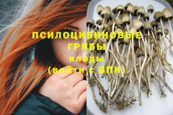 ешки Майский